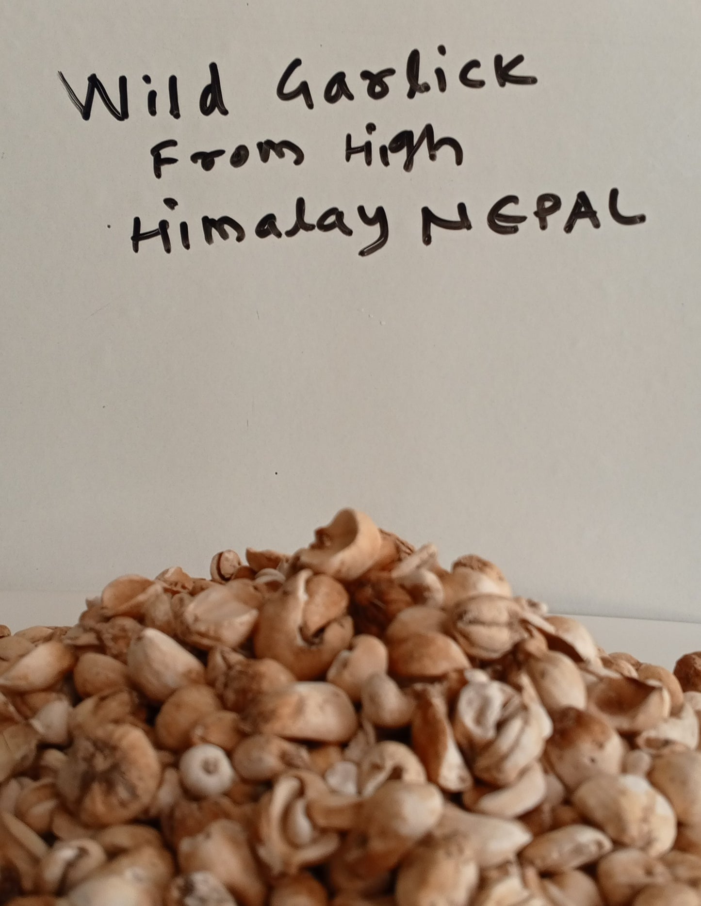 Wild Garlick- Allium Sativum - Medicinal Herbs From High Himalaya Nepal -50 Gram-