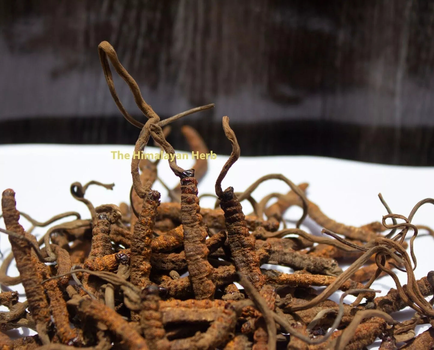 Wild Himalayan Yarsha Gumba Or Cordyceps Sinensis (60-30-15-5 Gram)